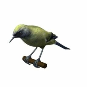 Přírodní 3D model ptáka