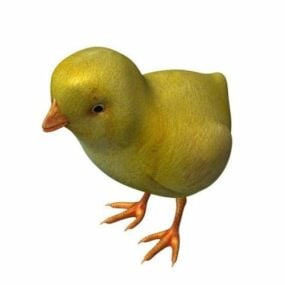 Baby Chicken 3d model