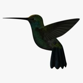 Hummingbird Lowpoly 3d model