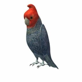 Bird Parrot With Red Head 3d model