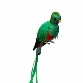 Model 3d Kewan Parrot Burung