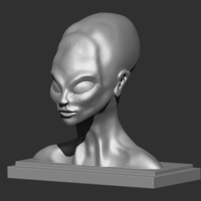 Simple Human Head Bust 3d model