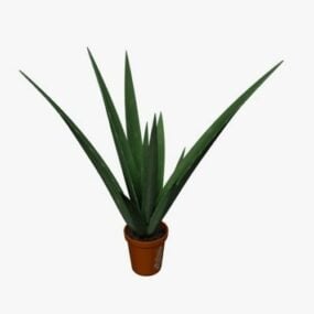 Garden Aloe Plant 3d model