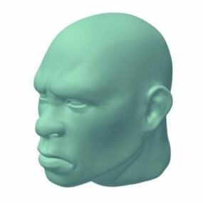 頭の彫刻3Dモデル