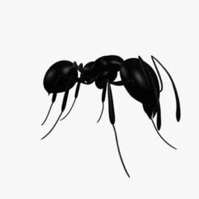 현실적인 검은 개미 3d 모델
