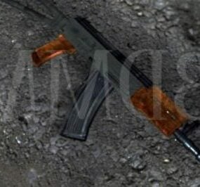 Ak Gun 3d model