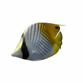 نموذج سمكة فراشة الأعنة ثلاثية الأبعاد