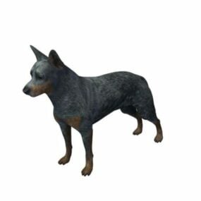 Australian Cattle Dog Animal 3d-modell