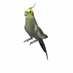 Modello 3d dell'uccello australiano Cockatiel