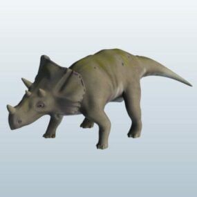 アヴァケラトプス恐竜 3D モデル