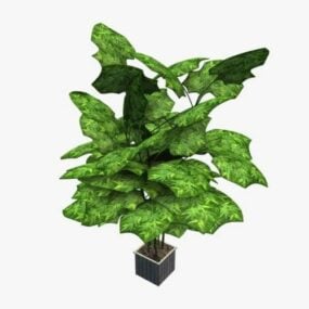 Potted Leaves Plant Indoor 3d model