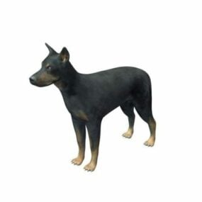 Modelo 3D do cão Beauceron