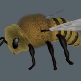 Model 3D Bee Flying