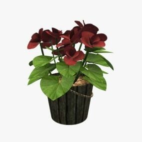 Begonia Pot Plant 3d model