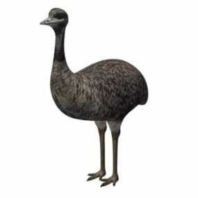3д модель птицы страуса