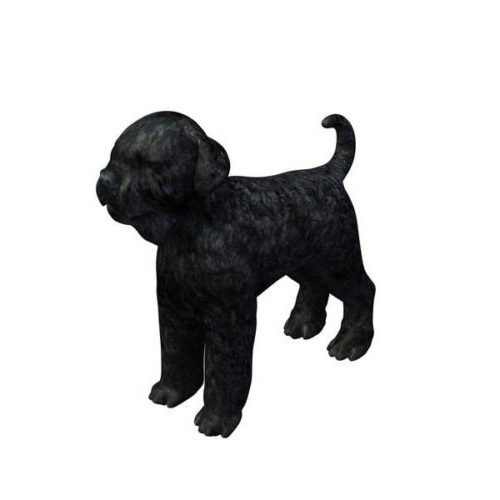 تولد الكلب الروسي الأسود