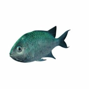 Green Fish Reef Chromis 3d-model