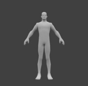 Grundlegendes Body Mesh 3D-Modell