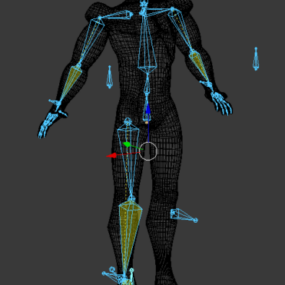 Kroppsnät Rigged 3D-modell