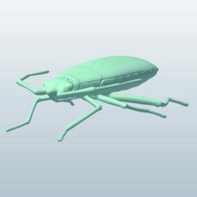 Mô hình 3d động vật bọ Boxelder