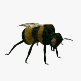 3д модель дикой пчелы