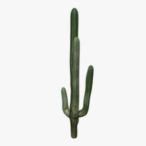 3d модель кактуса в пустелі