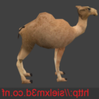 Camel Lowpoly Animal