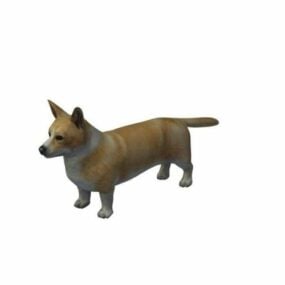 ウェルシュ・コーギー犬のカーディガン3Dモデル