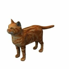 Baby Cat With Fur 3d model