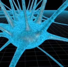 脳ニューロン V1 3D モデル