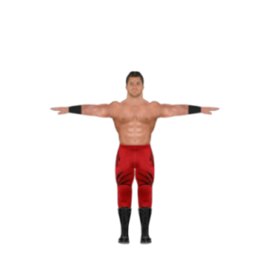 Wrestler 3D model postavy