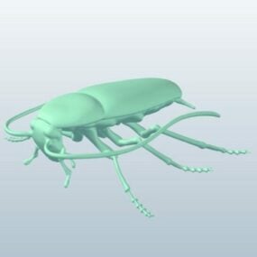 蟑螂动物3d模型