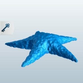 Animal estrella de mar del Atlántico modelo 3d