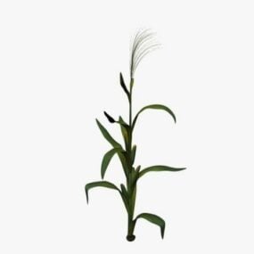 Modelo 3d de planta de campo de milho