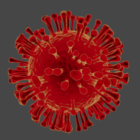 Covid Corona Virus