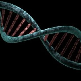 Science de l'ADN modèle 3D