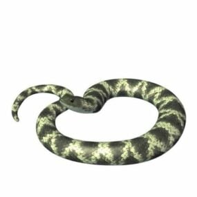 Hognose Snake 3d-modell