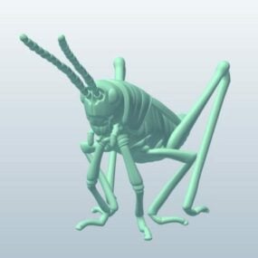 Lubber Grasshopper Animal 3D-malli