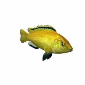 דגם דג ציקליד צהוב בתלת מימד