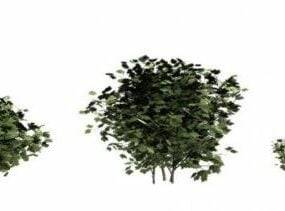 Modelo 3D de arbustos de cranberry europeus