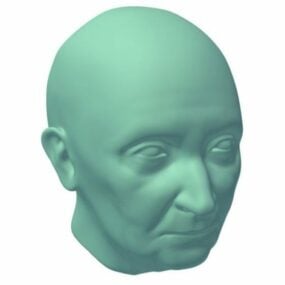 ヨーロッパの女性の長老の頭 V1 3D モデル