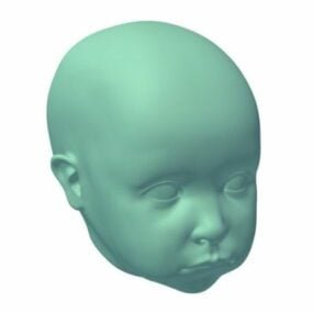 European Infant Head Sculpture 3d model
