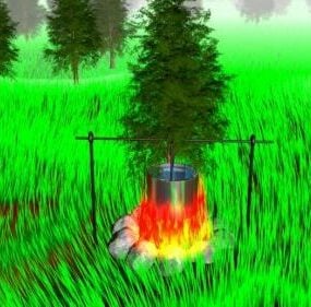Outdoor Forest Campfire 3d model
