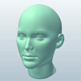 مدل سه بعدی مجسمه سر زن