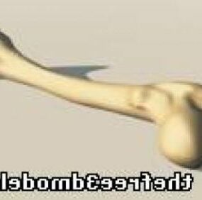 Human Bone 3d-malli