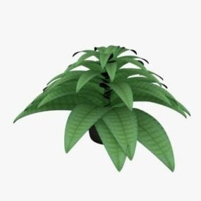 3D model rostliny divoké kapradiny