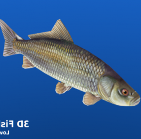 Flodfisk Lowpoly 3d model
