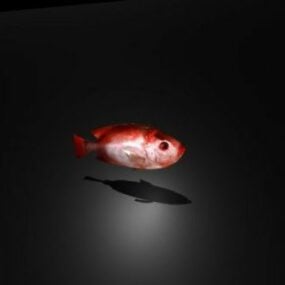 Rode vis aquarium 3D-model