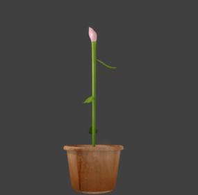 Potted Flower Blossoming 3d model