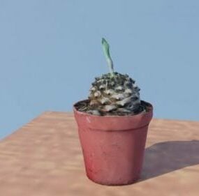 Pot de fleur en terre cuite modèle 3D